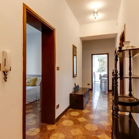 Casariosa, Centro * 里米尼